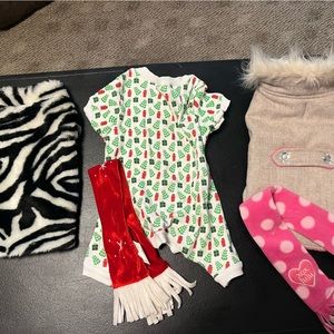 Assortment of dog clothes and accessories